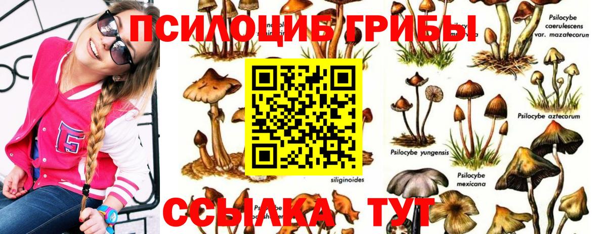 Галлюциногенные грибы MAGIC MUSHROOMS  Псилоцибиновые грибы MAGIC MUSHROOMS  Вход с VPN  Таганрог 