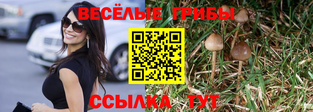 Псилоцибиновые грибы Magic Shrooms Таганрог